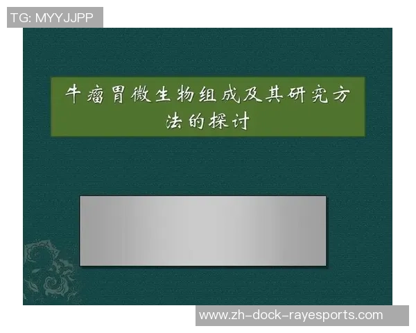 德语与德国足球的深厚联系探讨及其对文化的影响 德语与德国足球的深厚联系探讨及其对文化的影响